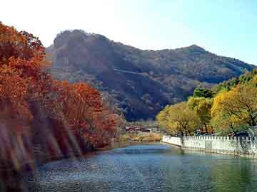 新澳天天开奖资料大全旅游团，碳布胶